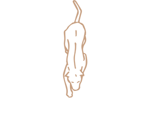 Pernitos Thomas Marin logo